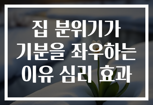 집 분위기가 기분을 좌우하는 이유 심리 효과