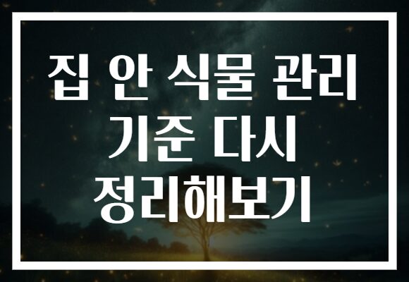 집 안 식물 관리 기준 다시 정리해보기