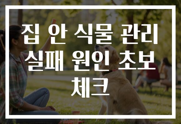 집 안 식물 관리 실패 원인 초보 체크