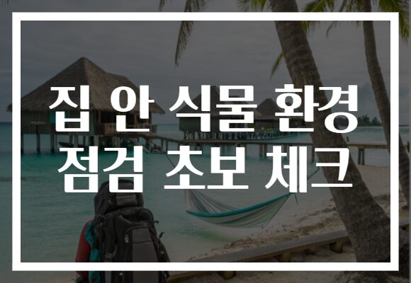 집 안 식물 환경 점검 초보 체크