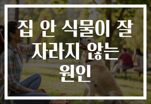 집 안 식물이 잘 자라지 않는 원인