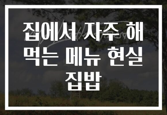 집에서 자주 해 먹는 메뉴 현실 집밥