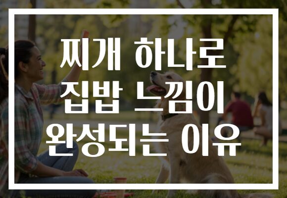 찌개 하나로 집밥 느낌이 완성되는 이유