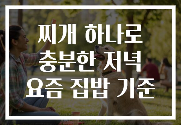 찌개 하나로 충분한 저녁 요즘 집밥 기준