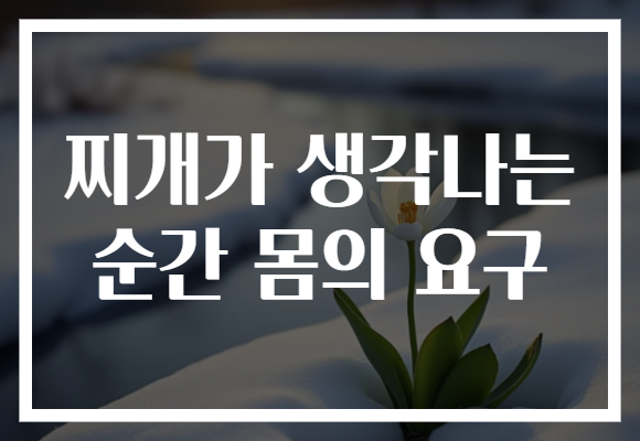 찌개가 생각나는 순간 몸의 요구