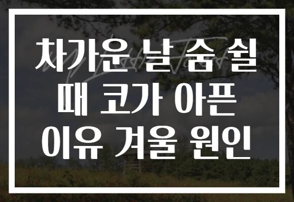 차가운 날 숨 쉴 때 코가 아픈 이유 겨울 원인