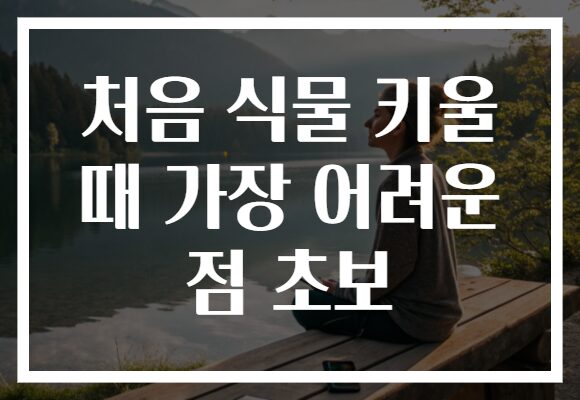처음 식물 키울 때 가장 어려운 점 초보