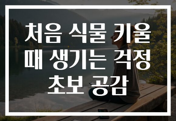 처음 식물 키울 때 생기는 걱정 초보 공감
