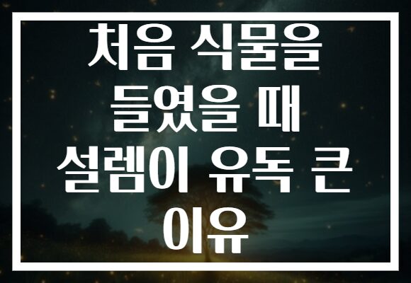 처음 식물을 들였을 때 설렘이 유독 큰 이유