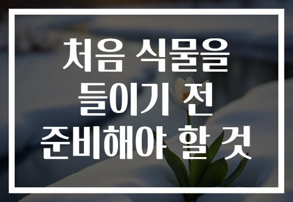처음 식물을 들이기 전 준비해야 할 것