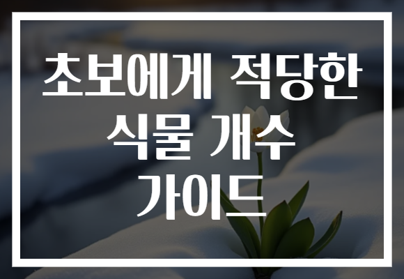 초보에게 적당한 식물 개수 가이드