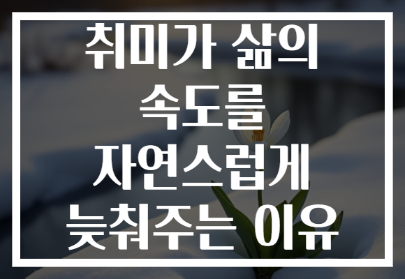 취미가 삶의 속도를 자연스럽게 늦춰주는 이유