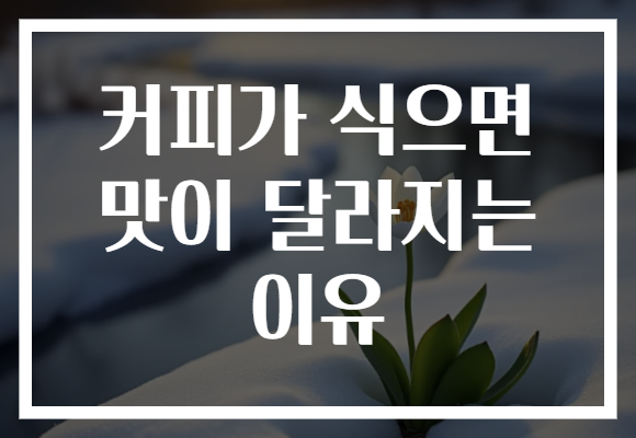 커피가 식으면 맛이 달라지는 이유