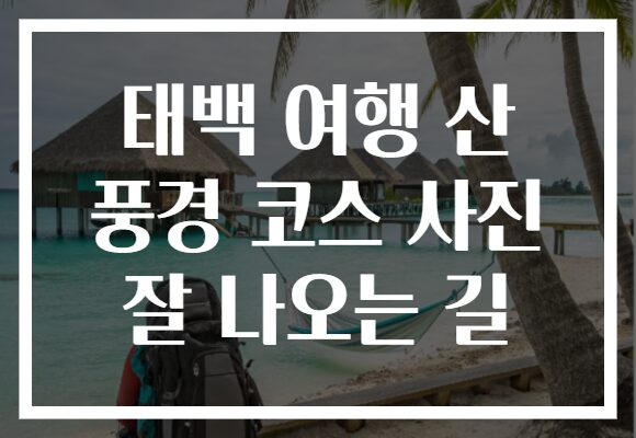태백 여행 산 풍경 코스 사진 잘 나오는 길