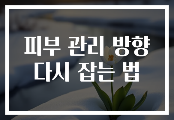 피부 관리 방향 다시 잡는 법