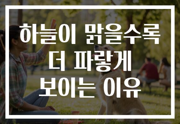 하늘이 맑을수록 더 파랗게 보이는 이유