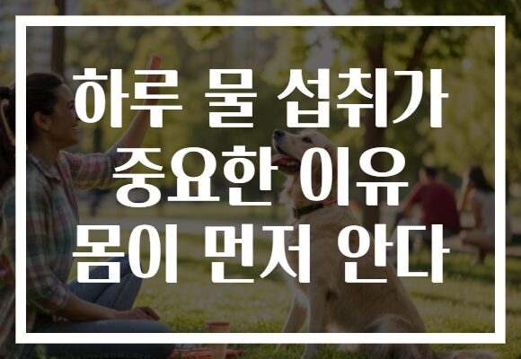 하루 물 섭취가 중요한 이유 몸이 먼저 안다