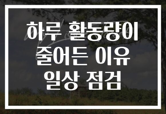 하루 활동량이 줄어든 이유 일상 점검