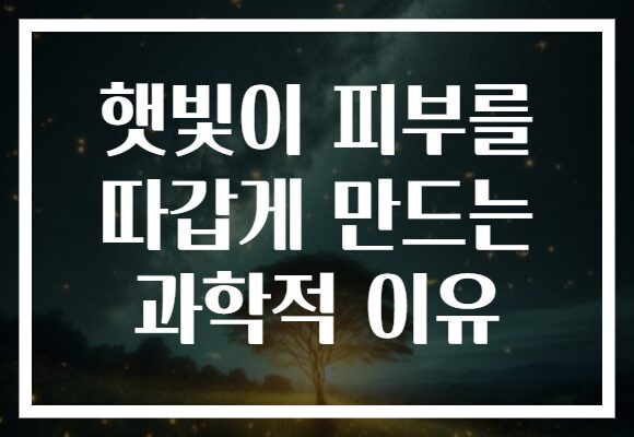 햇빛이 피부를 따갑게 만드는 과학적 이유