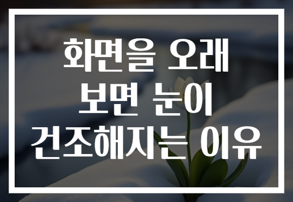 화면을 오래 보면 눈이 건조해지는 이유