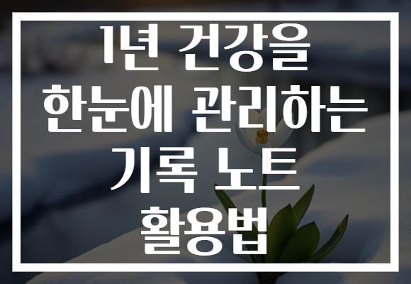 1년 건강을 한눈에 관리하는 기록 노트 활용법