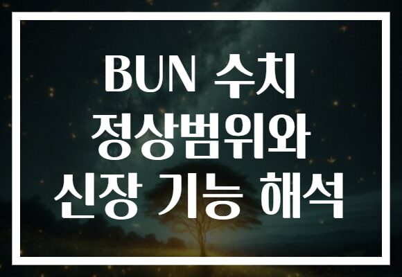 BUN 수치 정상범위와 신장 기능 해석