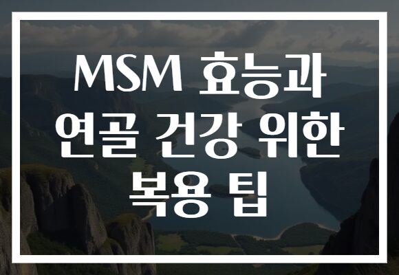 MSM 효능과 연골 건강 위한 복용 팁