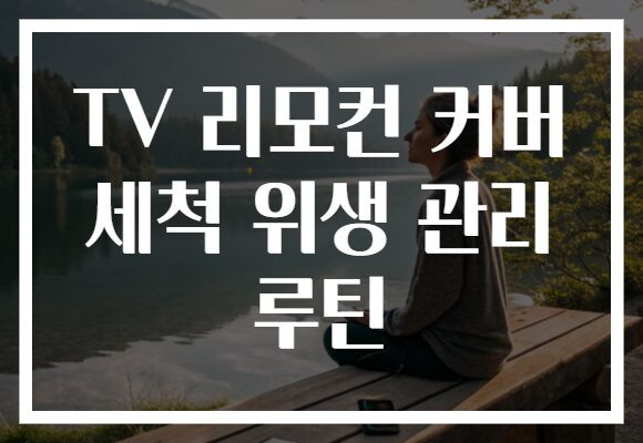 TV 리모컨 커버 세척 위생 관리 루틴