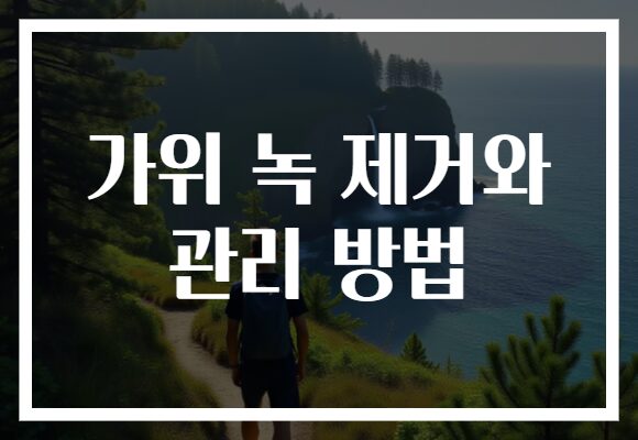 가위 녹 제거와 관리 방법