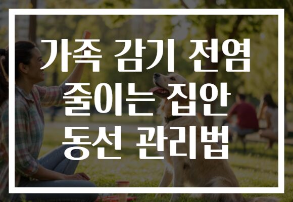 가족 감기 전염 줄이는 집안 동선 관리법