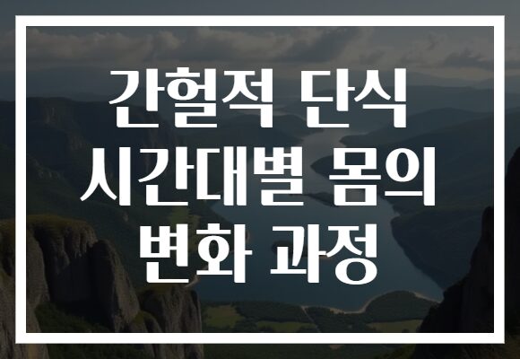 간헐적 단식 시간대별 몸의 변화 과정