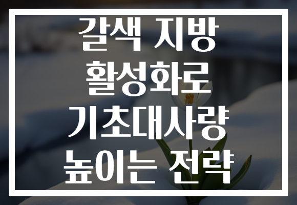 갈색 지방 활성화로 기초대사량 높이는 전략
