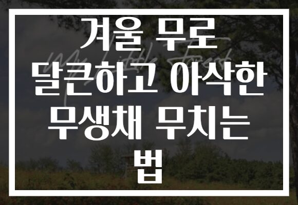 겨울 무로 달큰하고 아삭한 무생채 무치는 법