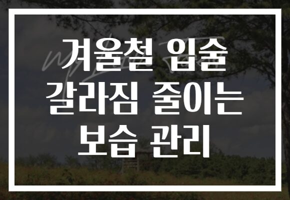 겨울철 입술 갈라짐 줄이는 보습 관리