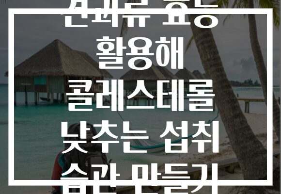 견과류 효능 활용해 콜레스테롤 낮추는 섭취 습관 만들기