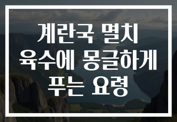 계란국 멸치 육수에 몽글하게 푸는 요령