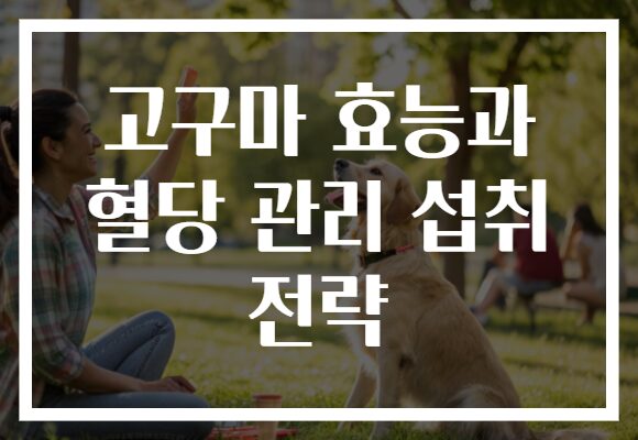 고구마 효능과 혈당 관리 섭취 전략