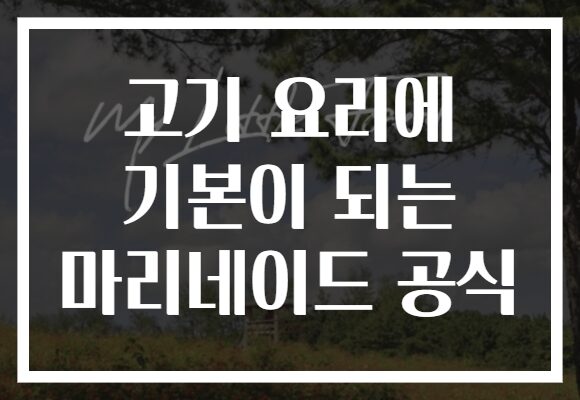 고기 요리에 기본이 되는 마리네이드 공식