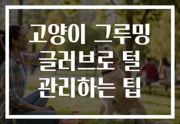 고양이 그루밍 글러브로 털 관리하는 팁