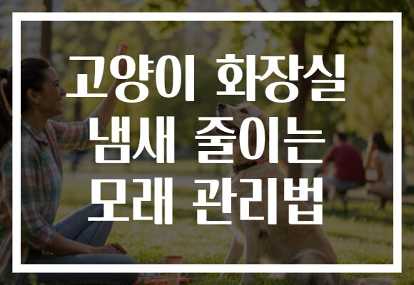 고양이 화장실 냄새 줄이는 모래 관리법