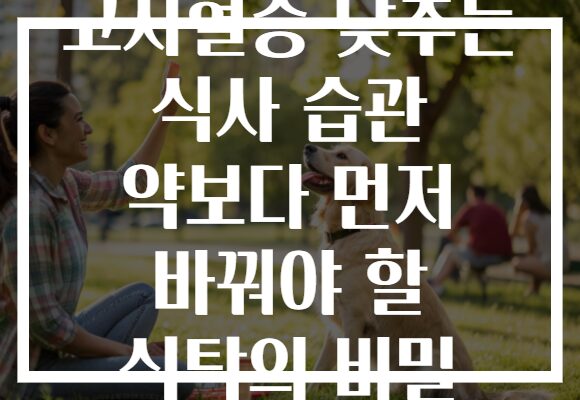 고지혈증 낮추는 식사 습관 약보다 먼저 바꿔야 할 식탁의 비밀