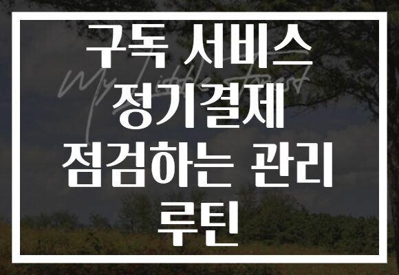 구독 서비스 정기결제 점검하는 관리 루틴