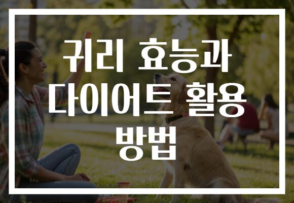 귀리 효능과 다이어트 활용 방법