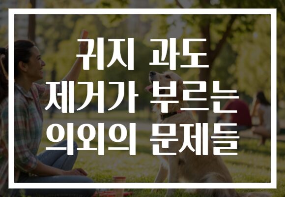 귀지 과도 제거가 부르는 의외의 문제들