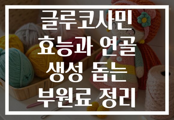 글루코사민 효능과 연골 생성 돕는 부원료 정리