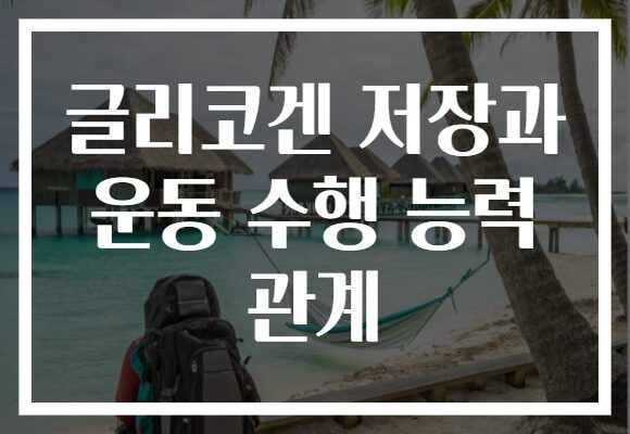 글리코겐 저장과 운동 수행 능력 관계