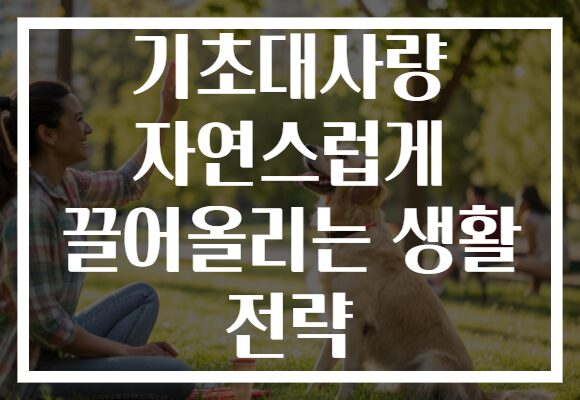 기초대사량 자연스럽게 끌어올리는 생활 전략