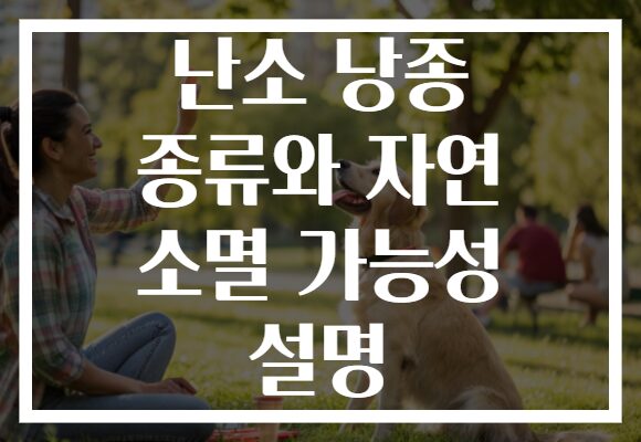 난소 낭종 종류와 자연 소멸 가능성 설명