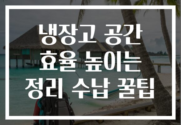 냉장고 공간 효율 높이는 정리 수납 꿀팁