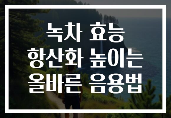 녹차 효능 항산화 높이는 올바른 음용법